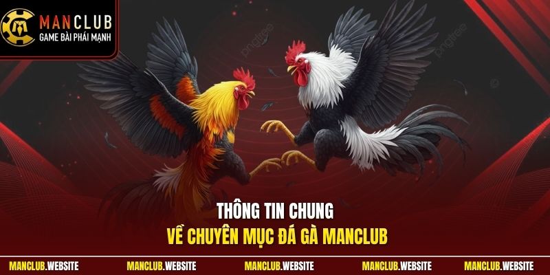 Thông tin chung về chuyên mục đá gà Manclub
